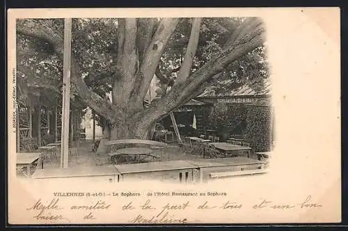 AK Villennes /S.-et-O., Le Sophora de l`Hôtel Restaurant au Sopora, Baum