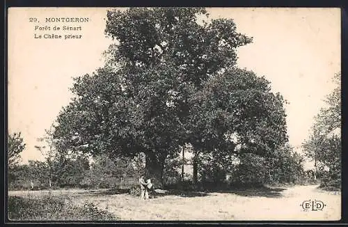 AK Montgeron, Forêt de Sénart, Le Chêne prieur, Baum