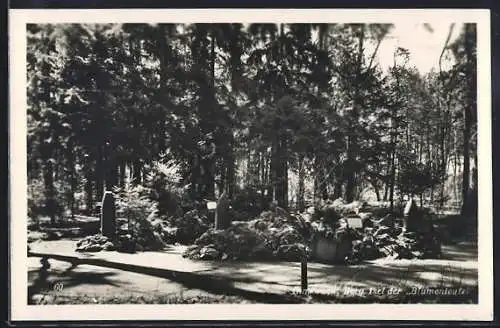 AK Innsbruck, Denkmal auf Berg Isel, Der Blumenteufel, Kriegshilfe