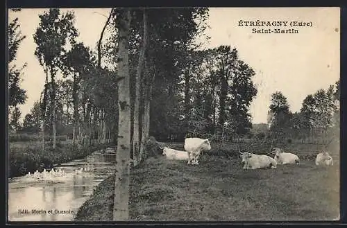 AK Étrépagny, Vaches au bord de l`eau à Saint-Martin