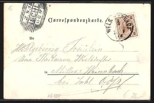 Lithographie Wels, Postgebäude, Stadtplatz, K. k. Cavallerie-Kaserne, Volkshalle