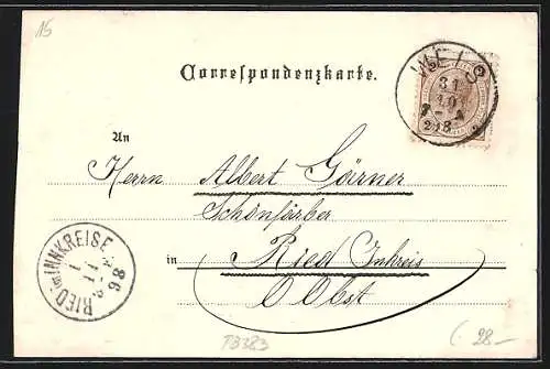 Lithographie Wels, Volkshalle, Pollheimer Anlage, Postgebäude, Schloss Puchberg, Schloss Traunegg, Stadtplatz