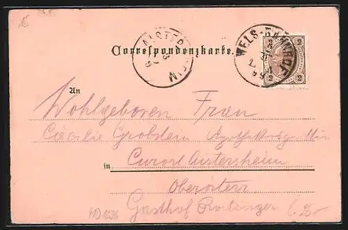 Lithographie Wels, Totalansicht über Bahntrassen