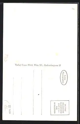 AK Aspach im Innviertel, Brauerei und Gasthof Hans Hofmann, Handlung Fritz Baumgartner, Ortsansicht