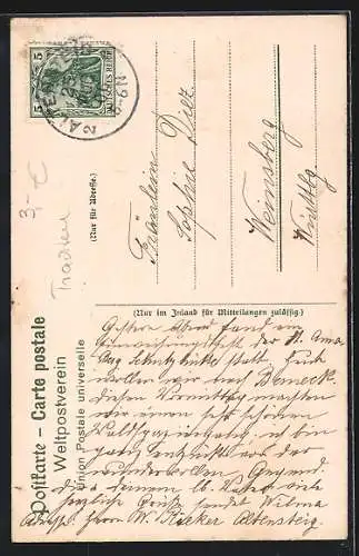 AK Schwarzwälder Paar in Tracht auf einem Hügel