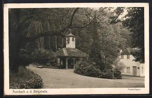 AK Auerbach a. d. Bergstrasse, Das Fürstenlager