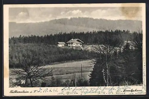 AK Falkenstein i. T., Waldpartie mit Tenzlerhaus