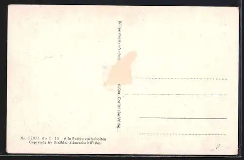 AK Dingelsdorf am Bodensee, Ortsansicht aus der Vogelschau, Dampfschiff auf dem Bodensee