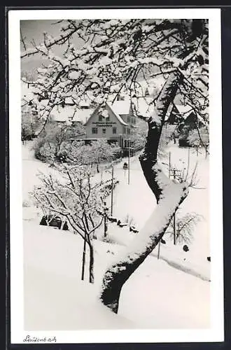 AK Lautenbach i. Murgtal, Gasthof zum Lautenfels