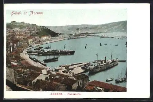 AK Ancona, Panorama