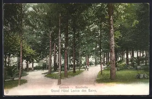 AK Levico, Boschetto, Grand Hôtel des Bains, Kurpark