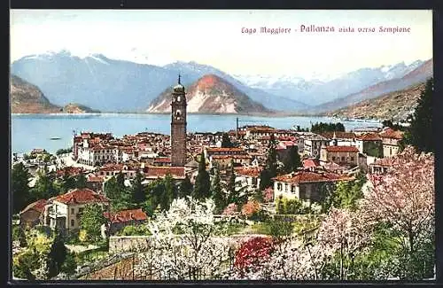 AK Pallanza /Lago Maggiore, Vista verso Sempione