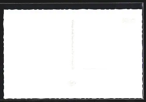 AK Rendsburg, Badeanstalt, Mehrfachansicht