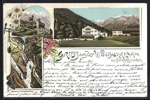 Lithographie Berchtesgaden, Gasthof zur Wimbachklamm, Gämse auf einem Berg