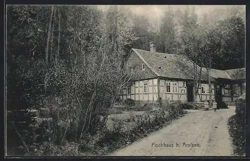 AK Arolsen, Gasthof Fischhaus mit Garten und Strasse