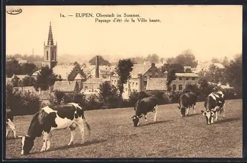 AK Eupen, Oberstadt im Sommer, weidende Kühe