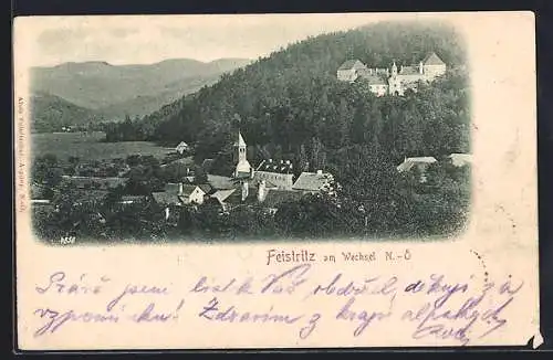 AK Feistritz am Wechsel, Teilansicht mit Kirche