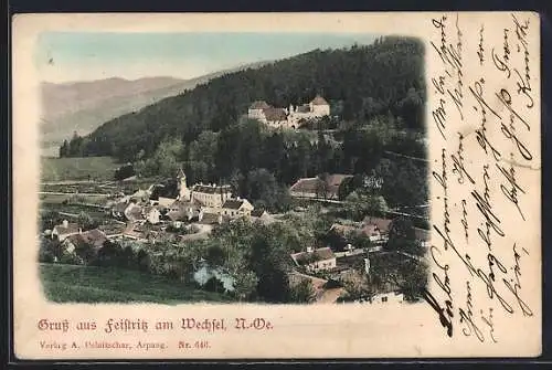 AK Feistritz am Wechsel, Teilansicht mit Kirche