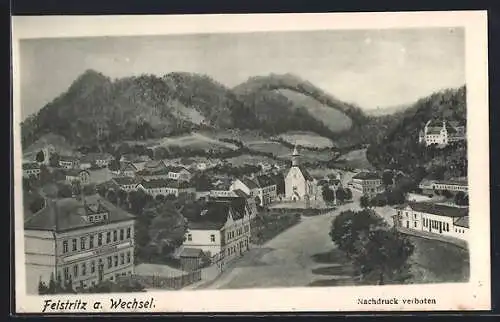 AK Feistritz a. Wechsel, Strassenansicht mit Volksschule