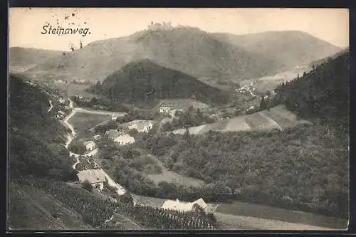 AK Steinaweg, Panorama mit Strassenpartie