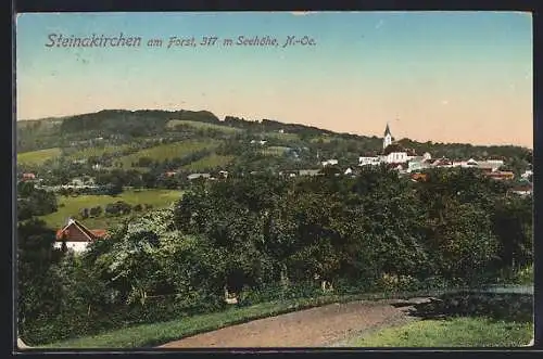 AK Steinakirchen am Forst, Teilansicht mit Kirche