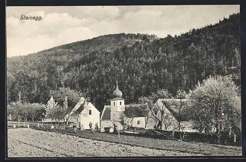 AK Altenburg /N.-Oe., Steinegg mit Kirche