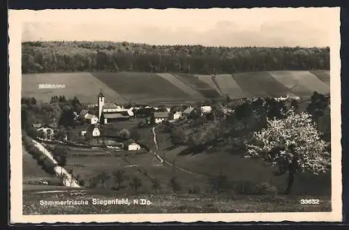 AK Siegenfeld, Teilansicht