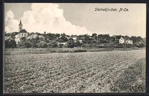 AK Steinakirchen /N.-Oe., Ortspartie mit Kirche