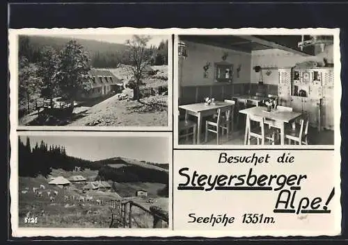 AK Kirchberg am Wechsel, Gasthaus Steyersberger Alpe