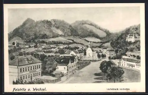 AK Feistritz a. Wechsel, Strassenansicht mit Volksschule