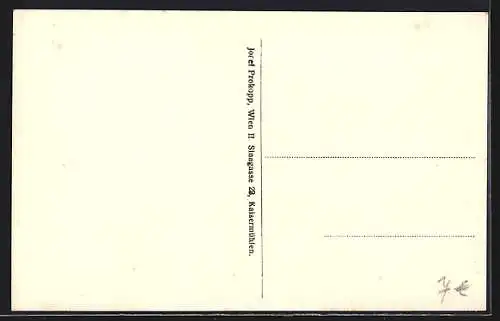 AK Feistritz a. Wechsel, Strassenansicht mit Volksschule