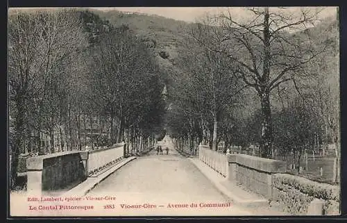 AK Vic-sur-Cère, Avenue du Communal entourée d`arbres en hiver