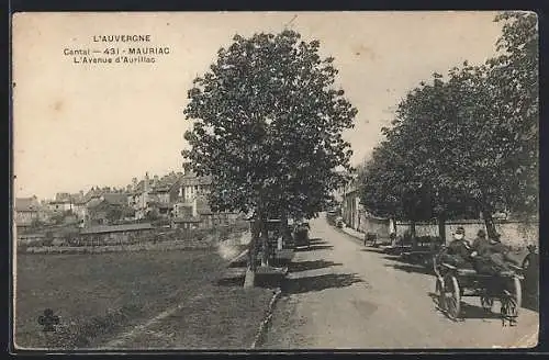 AK Mauriac, L`Avenue d`Aurillac avec charrette et arbres en bordure