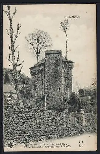 AK Chaudes-Aigues, Château des Ternes sur la route de Saint-Flour