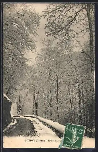 AK Condat, Sous-bois paré de neige