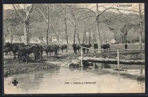 AK Auvergne, Vaches à l`abreuvoir