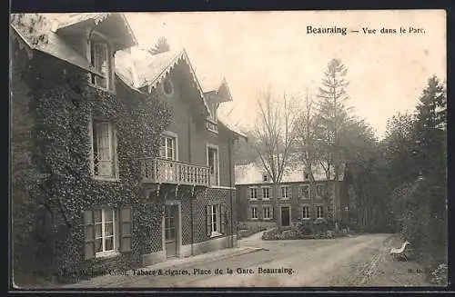 AK Beauraing, Vue dans le Parc