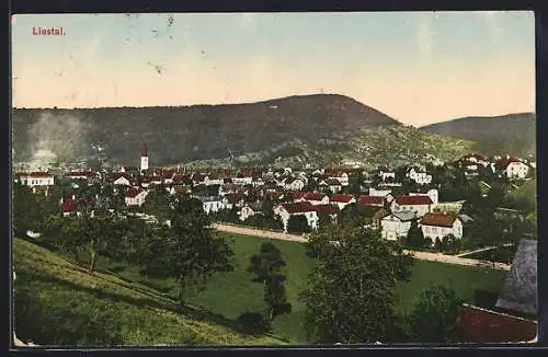 AK Liestal, Gesamtansicht mit Bergpanorama von einem Hang aus