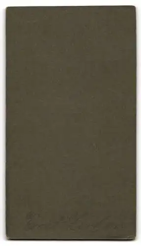 Fotografie Atelier Herzsch, Leisnig, Ernst Z. in Anzug und Krawatte