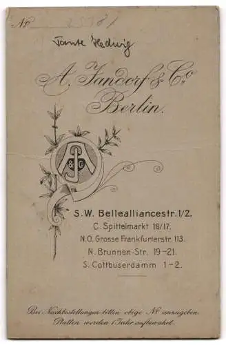 Fotografie A. Jandorf &amp Co., Berlin, S.W. Bellealliancestr. 1 /2, Hedwig mit hochgestecktem Haar