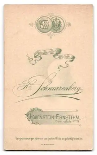 Fotografie H. Schwarzenberg, Hohenstein-Ernstthal, Centralstr. 19, Porträt eines Soldaten in Uniform