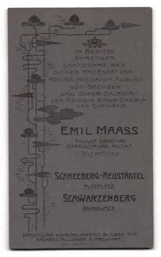 Fotografie Emil Maass, Schneeberg, Postplatz, Porträt einer Dame am Tisch