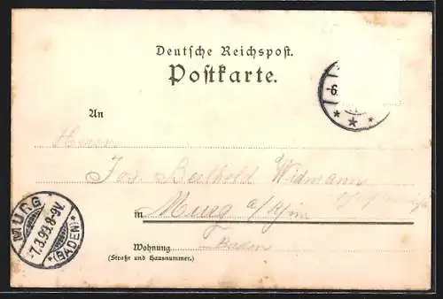 Künstler-AK Karl Mutter: Insel Mainau, Landschaftspanorama, um 1900