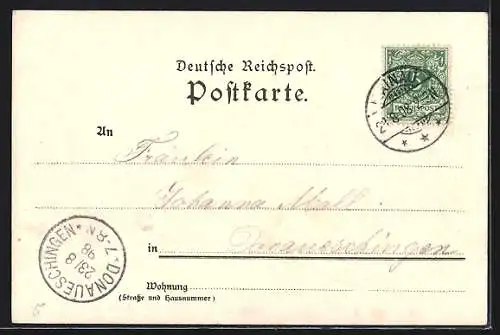 Künstler-AK Karl Mutter: Insel Mainau, Landschaftspanorama, um 1900