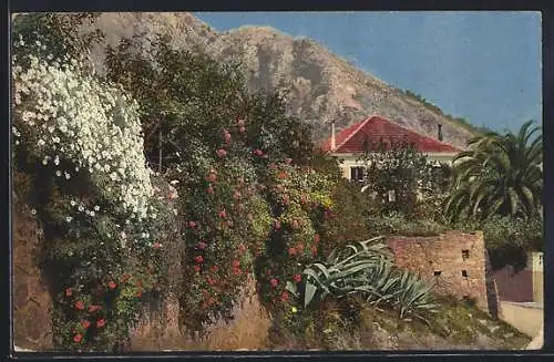 Künstler-AK Photochromie Nr.2654: Mentone, Riviera di Ponente