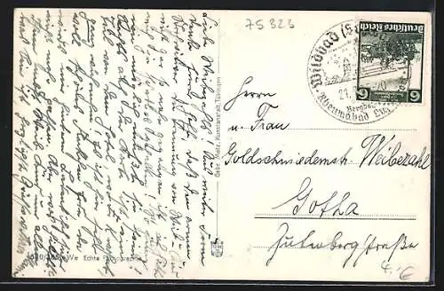 AK Wildbad /Schwarzwald, Ortspartie mit Trinkhalle