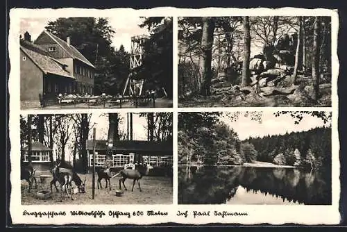 AK Victorshöhe, Berggasthof Victorshöhe im Harz, Bes. Paul Sahlmann