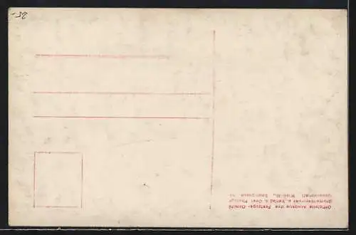 AK Umzugsgruppe XIX, Armee Radetzky, Kaiserhuldigungs-Festzug