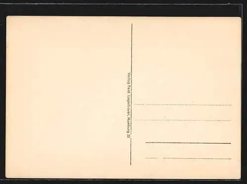 AK Rendsburg, Ortsansicht, Fliegeraufnahme