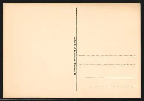 AK Rendsburg, Ortsansicht, Fliegeraufnahme